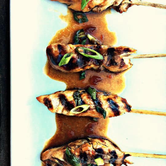 Ginger Chicken Satay Skewers