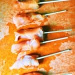 Ginger Chicken Satay Skewers