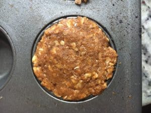 Pumpkin Puree Oatmeal Bites!