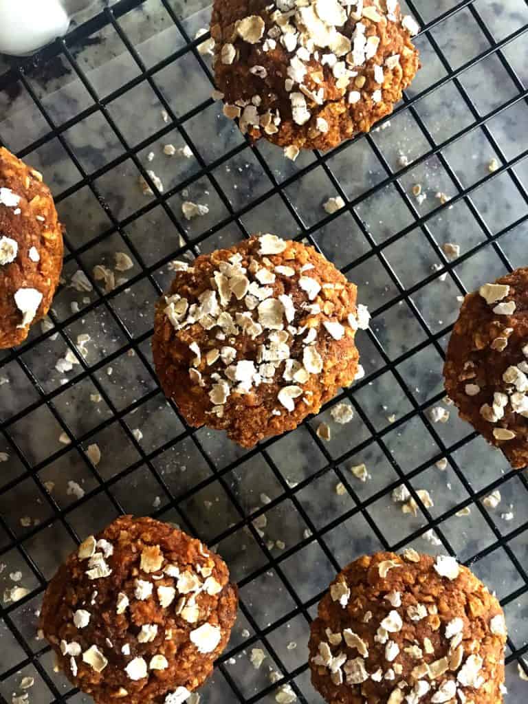 Pumpkin Puree Oatmeal Bites!