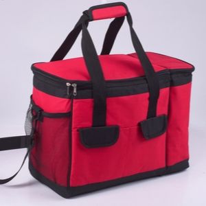 This image has an empty alt attribute; its file name is cooler-bag.jpg